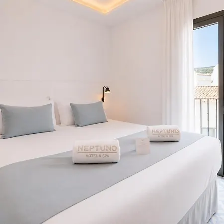 Neptuno & 4 Sup Hotel 4*